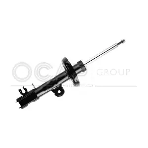 82929FL OCAP