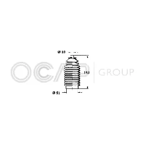 1211291 OCAP