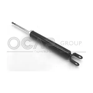 82432RU OCAP