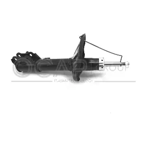 82483RL OCAP