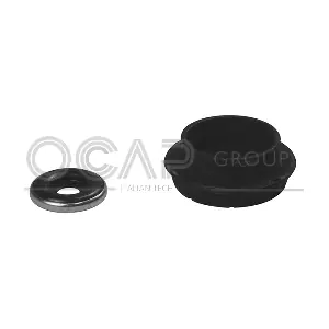 8400029 OCAP