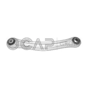 0395545 OCAP