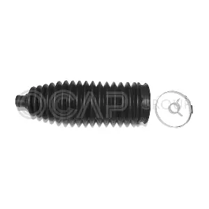 0905769 OCAP