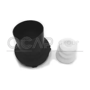8500043 OCAP
