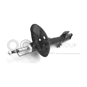 OCAP 82213FL