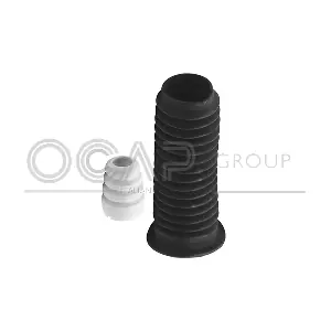 8500079 OCAP