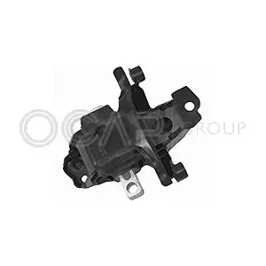 1226060 OCAP