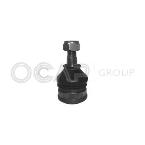 0404431 OCAP