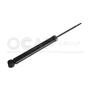 82929RU OCAP