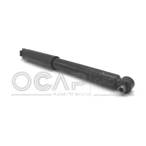 82445RU OCAP