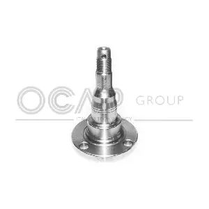 6130101 OCAP