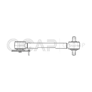 0807585 OCAP