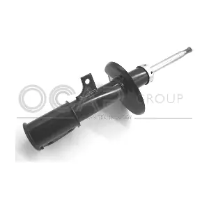 82295FR OCAP