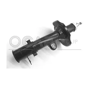 82431RL OCAP