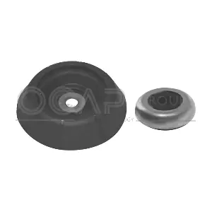8400103 OCAP