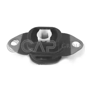 1226553 OCAP