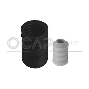 8500132 OCAP
