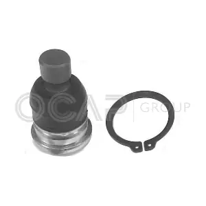 0402664 OCAP