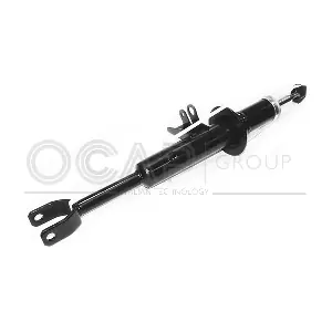 82529FL OCAP