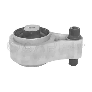 OCAP 1226308