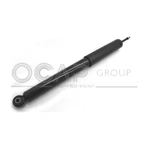 82169RU OCAP