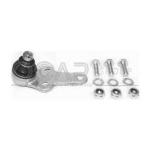 OCAP 0401056