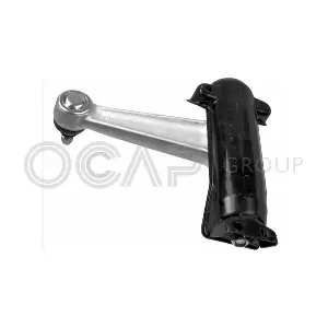 0382180-K OCAP