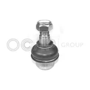 OCAP 0402385