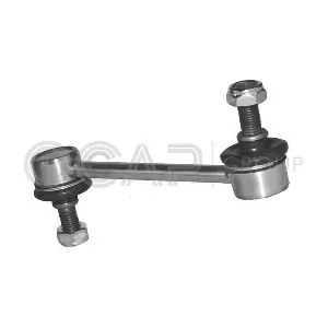 0509281 OCAP