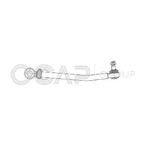 0506855 OCAP