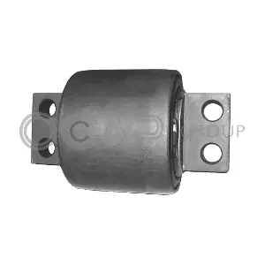 0909380 OCAP