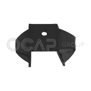 1226399 OCAP