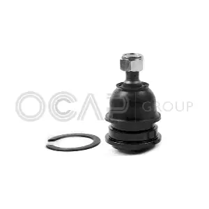 0402482 OCAP