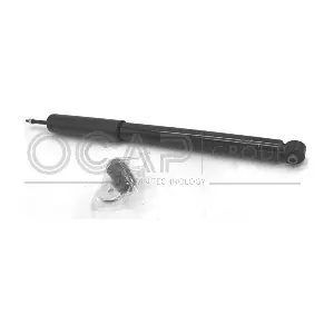 82179RU OCAP