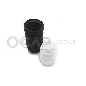 8500141 OCAP