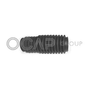 OCAP 1211088