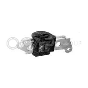 1215281 OCAP