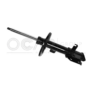 82912FL OCAP