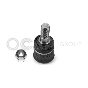0404274 OCAP