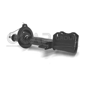 82418RL OCAP