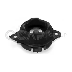1225010 OCAP