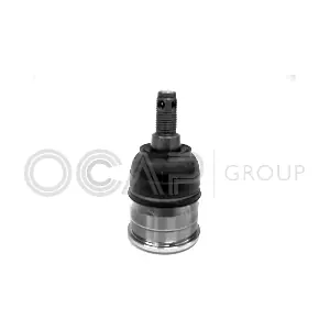 0401807 OCAP