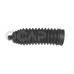 1211589 OCAP