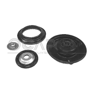 8400089 OCAP