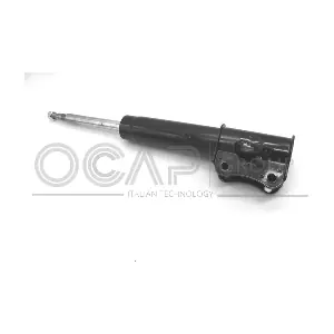 82410FR OCAP