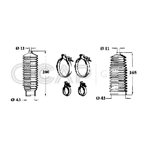 0900641 OCAP