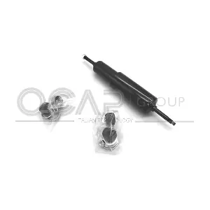 80469RU OCAP