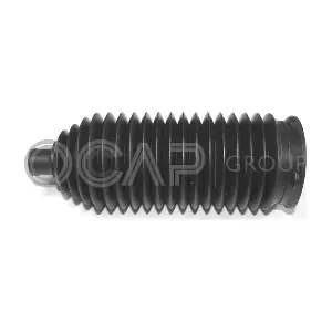 1211401 OCAP