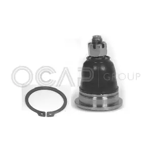 0404626 OCAP