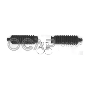 0900958 OCAP